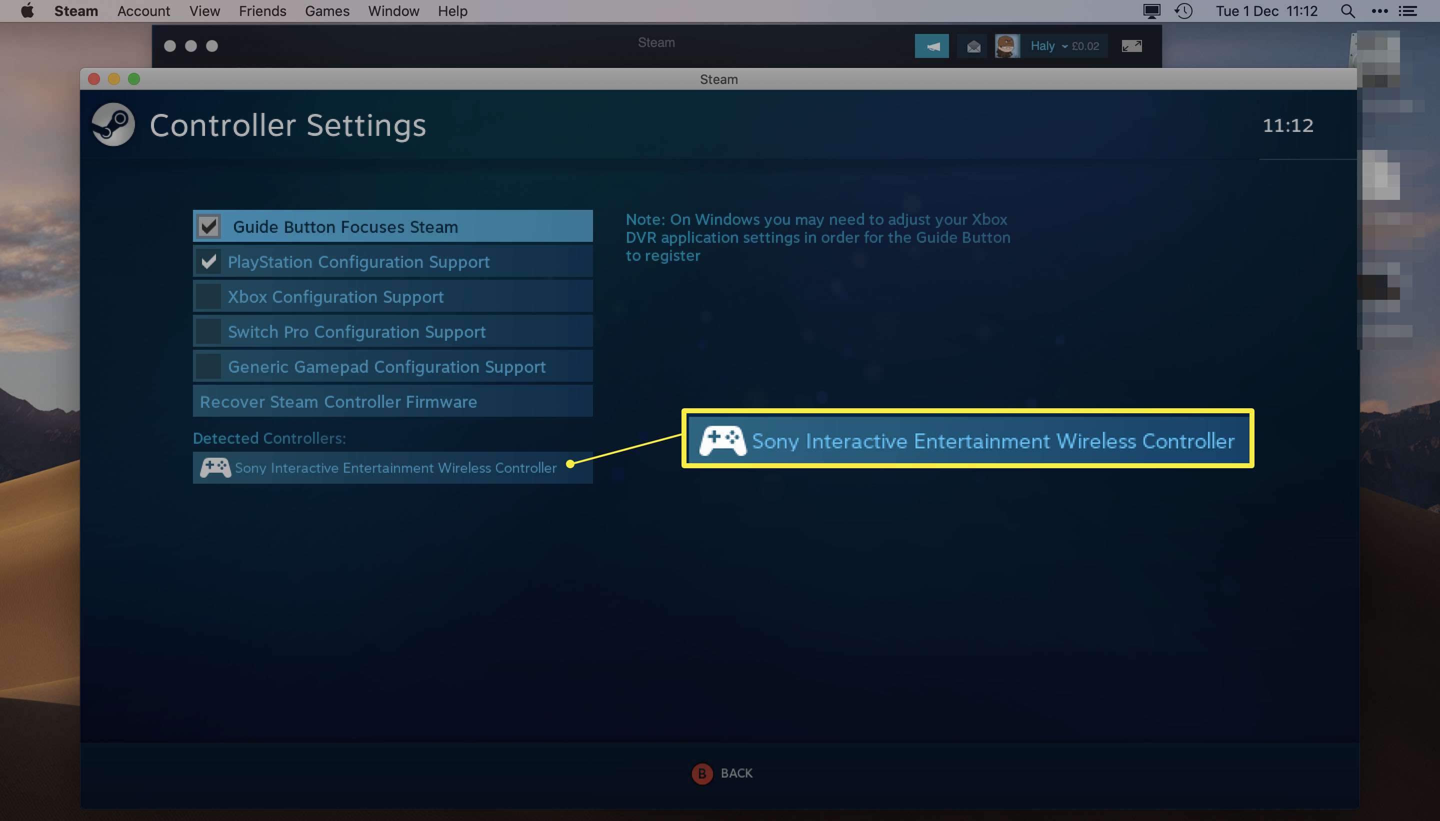 open setting for steam on mac